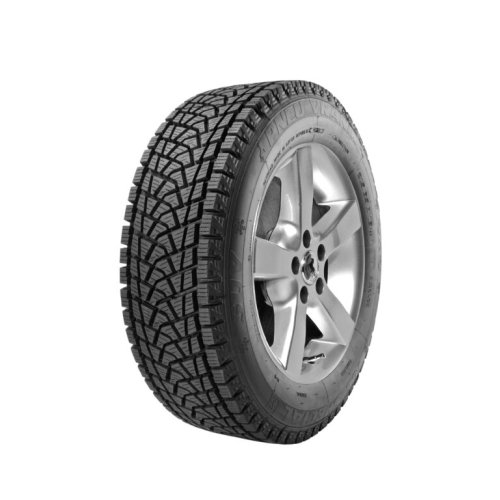 protektor 215/60R17 96H GREEN D. ICE SPECIAL (M+S) VRANIK