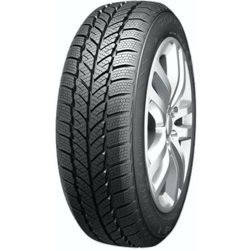 205/60R15 91H, Roadx, RX FROST WH01